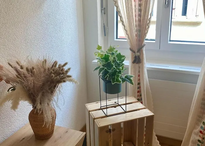 Apartament Citylight Lozanna